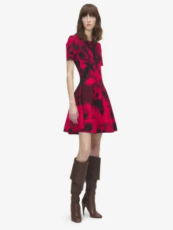 Women's Floral Jacquard Mini Dress in Red/Black